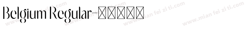 Belgium Regular字体转换